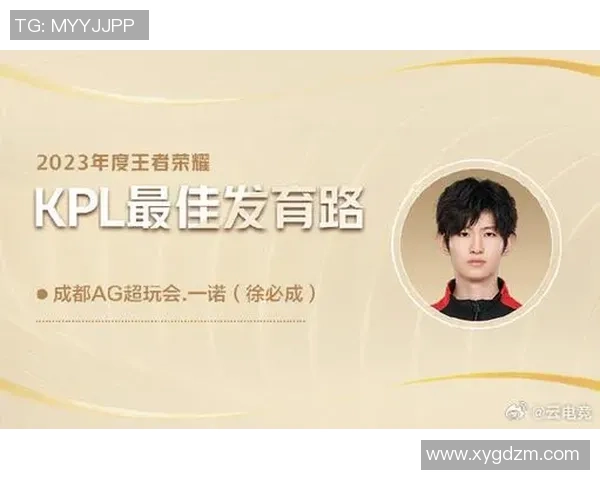 一诺 王者：探索英雄背后的深厚文化与战斗智慧，解读战略与角色扮演的完美结合