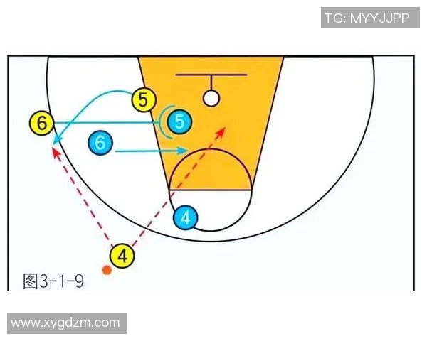 全面解析现代篮球运动发展趋势与战术革新对比赛格局的深远影响力度