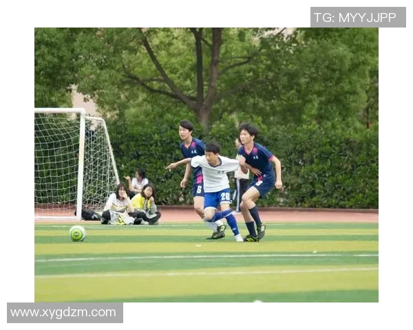 绿茵逐梦青春飞扬激情碰撞演绎足球无尽魅力